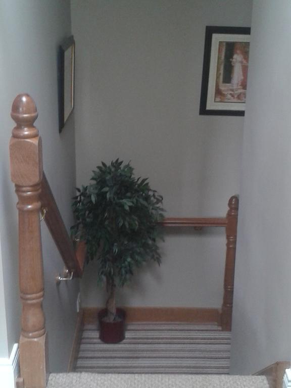 Ryebrook House Bed & Breakfast Киларни Екстериор снимка
